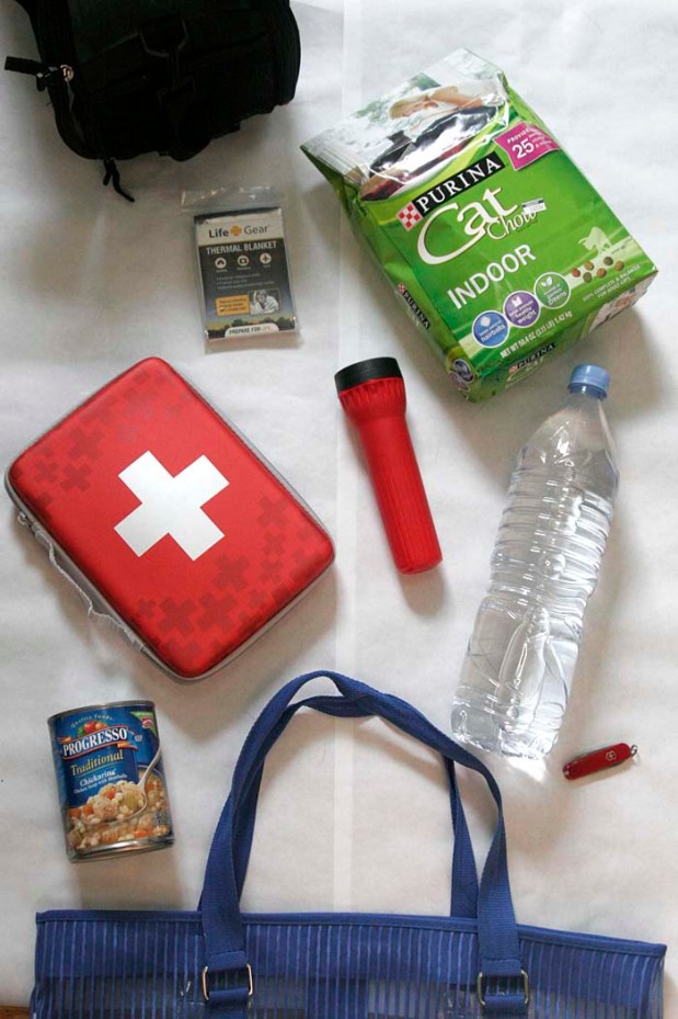 emergency kit