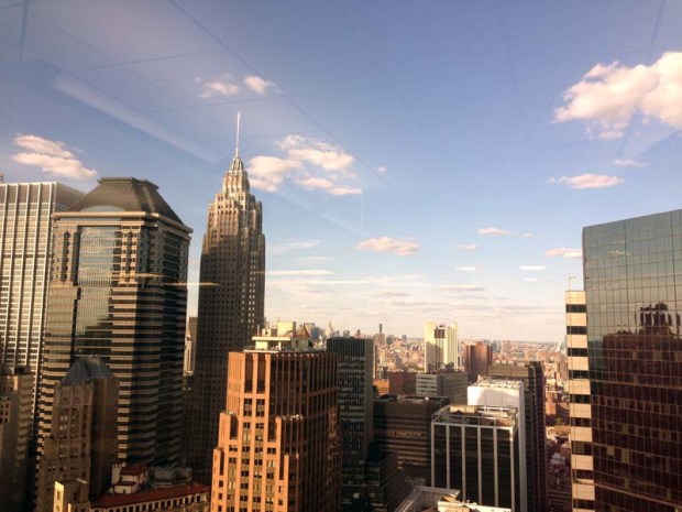 view from the office