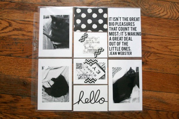 rae's days scrapbook right page